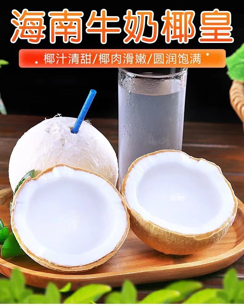 海南椰子新鮮椰青椰白孕婦當季水果椰皇毛椰奶椰海南特產現摘